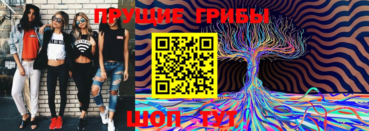 Галлюциногенные грибы Cubensis Братск