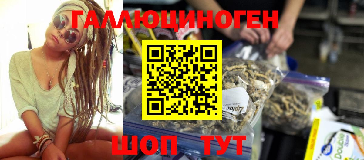 Братск  Галлюциногенные грибы ЛСД  Вход с VPN 